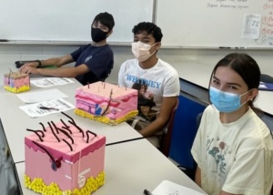 3 students with masks on sitting at a table with models of layers of skin on tables
