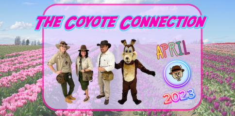 Spring pink and purple flower field; The Coyote Connection; 3 ATS Administrators and Cody the Coyote; April 2023