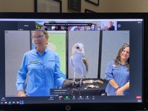 Lady holding an eagle showing the students via zoom virtual field trip.
