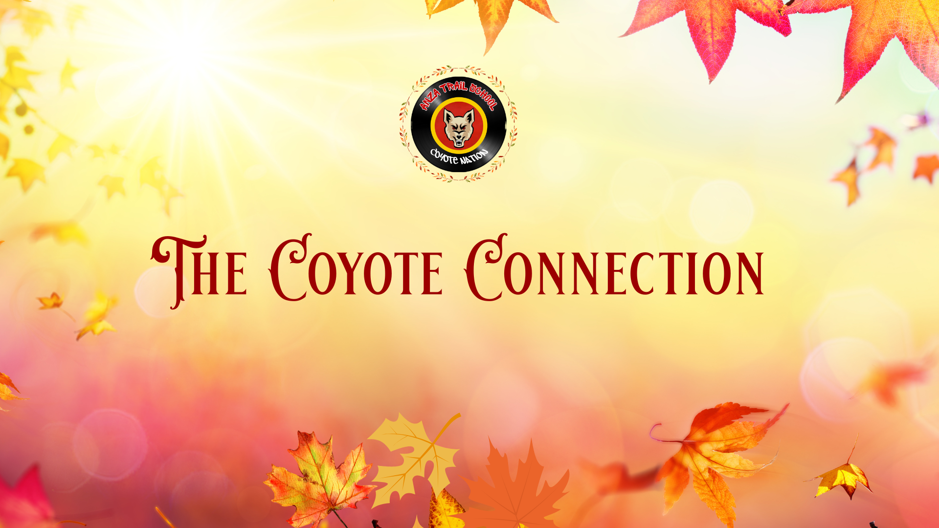 fall background, yellow sunshine with orange and red leaves. The Coyote Connection; Coyote Mascot with round fall leaf border around it